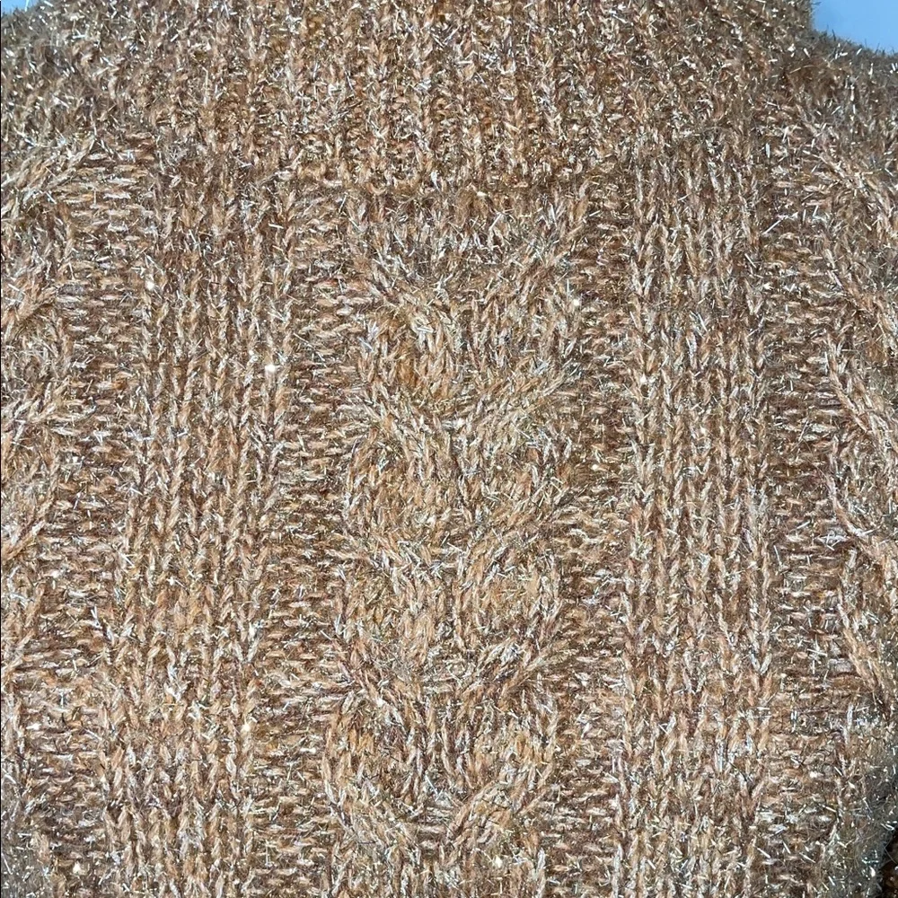NWT Anthropologie Tan & Silver Tinsel Festive Cowl Neck Cropped Sweater - Medium - Picture 5 of 14